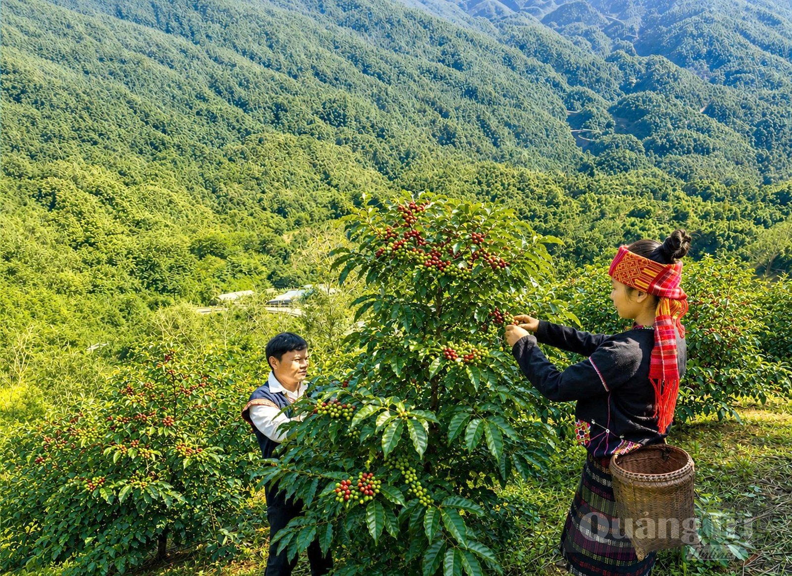 Cà phê Hòa bình – Make Coffee Not War
