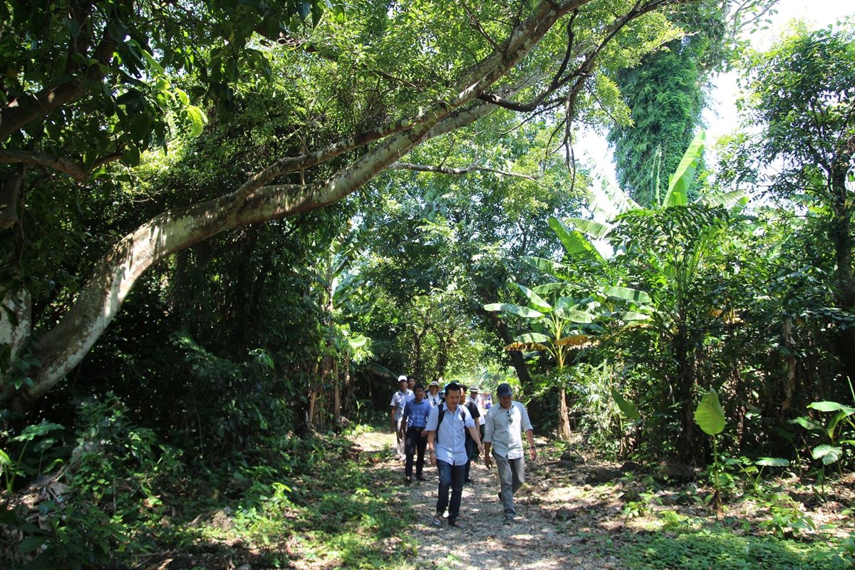 Trekking xuyên rừng trên đảo Cồn cỏ