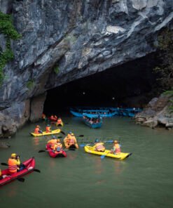 Tour Động Phong Nha Động Thiên Đường 1 ngày