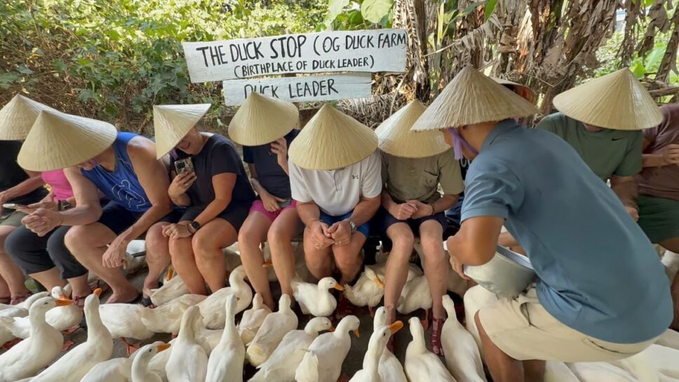 Trải nghiệm matxa vịt